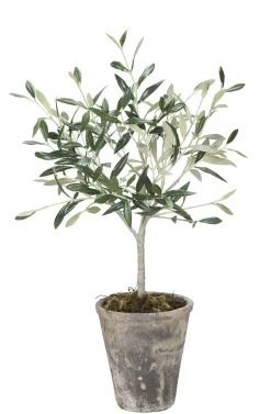 Best Lene Bjerre - Oliventræ Flora - 44 cm.