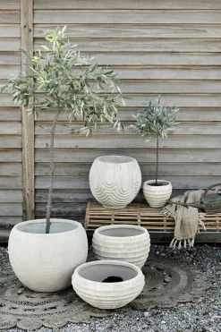 Best Lene Bjerre - Oliventræ Flora - 44 cm.