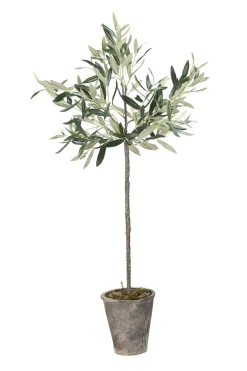 Best Lene Bjerre - Oliventræ Flora - 73 cm.