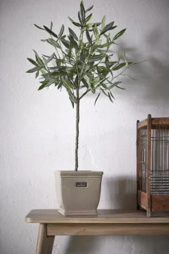 Best Lene Bjerre - Oliventræ Flora - 73 cm.