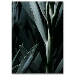 Outlet Martin Moore plakat - Plants plakat Blue Succulent 1 A3