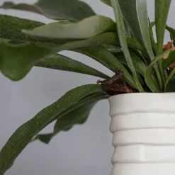 Online Mette Ditmer - RIBBON Vase - Large - Off-white
