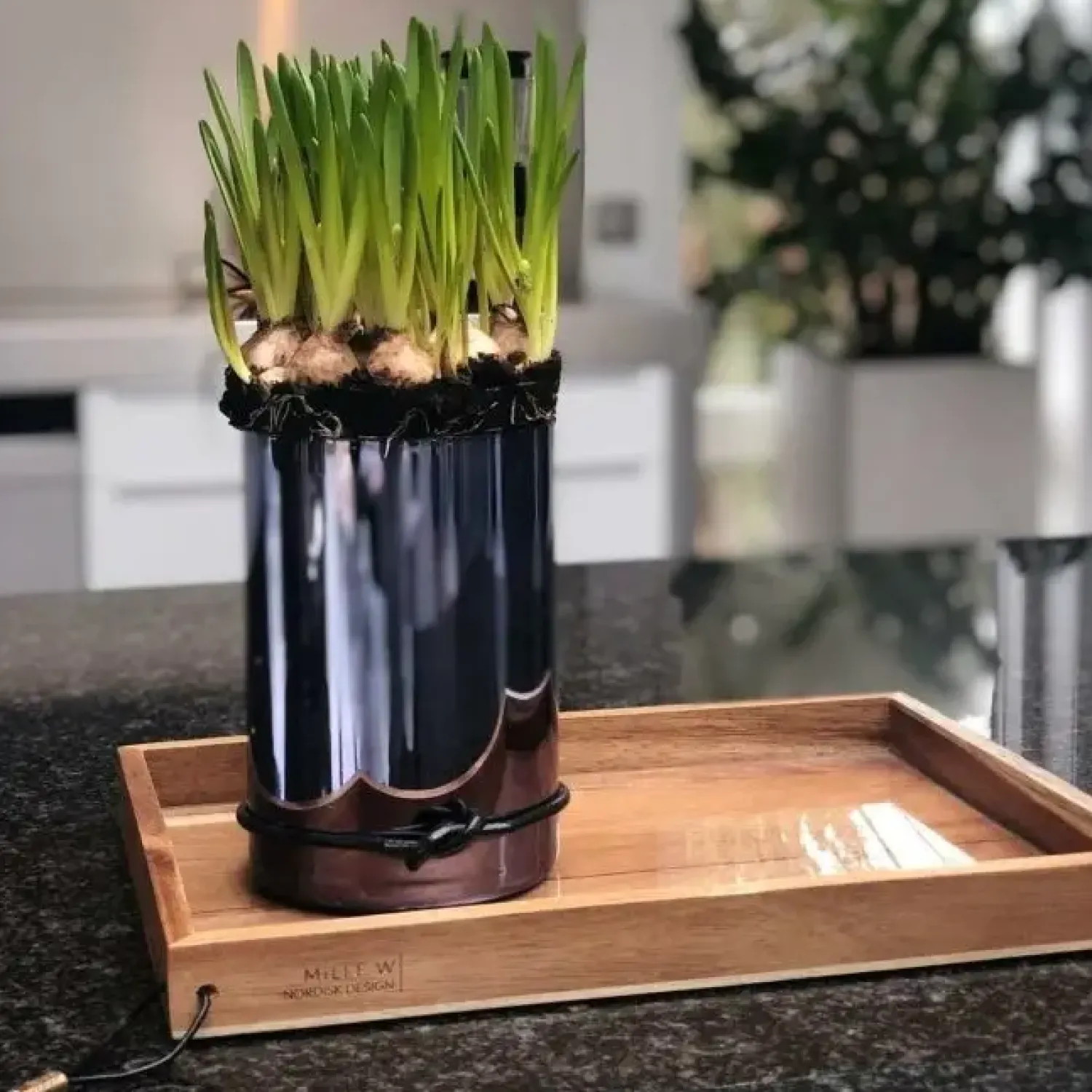 Best MILLE W NORDISK DESIGN - Bakke i træ - Sort læder - 24 x 33 cm.