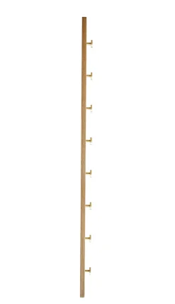 Clearance Moudhome - OAK Knagerække Egetræ Med Messing Knager - 100 cm