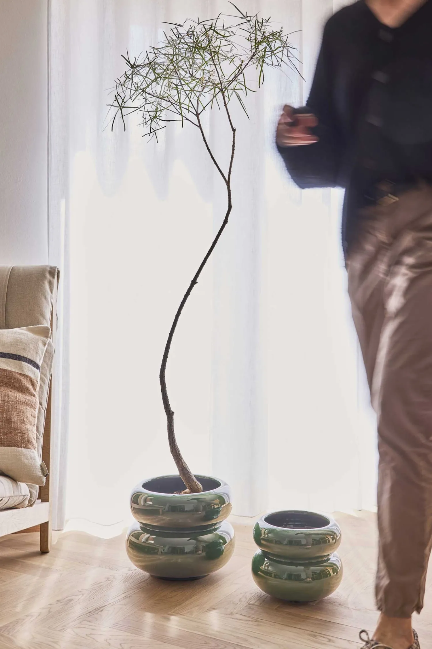 New OYOY - Plantekrukke - Kupla - Small - Grøn
