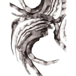 Online Paradisco Productions Paradisco Production illustration - GLORIOR A3
