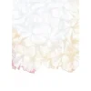 New Paradisco Productions illustration - Soft Transparency plakat (70 x 100)