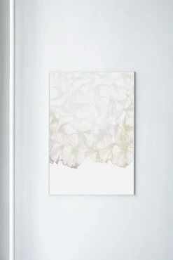 New Paradisco Productions illustration - Soft Transparency plakat (70 x 100)