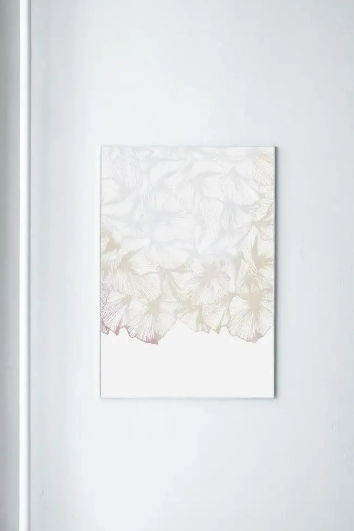New Paradisco Productions illustration - Soft Transparency plakat (70 x 100)