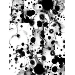 Sale Paradisco Productions illustration - Inked plakat (A3)