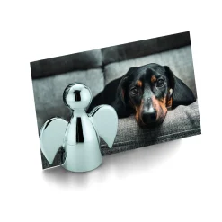 Discount Philippi - Angelo picture holder