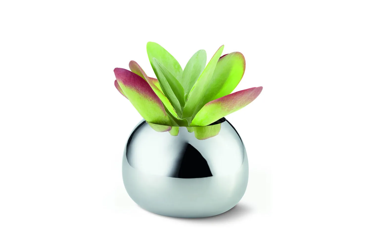 Discount Philippi - Bella vase S