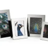 Philippi - Celeste frame, 10 x 15 cm