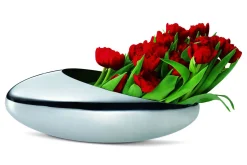 Best Philippi - Cocoon champagne cooler + tulip vase