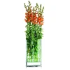 Discount Philippi - Decade vase L