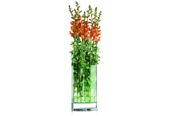 Discount Philippi - Decade vase L