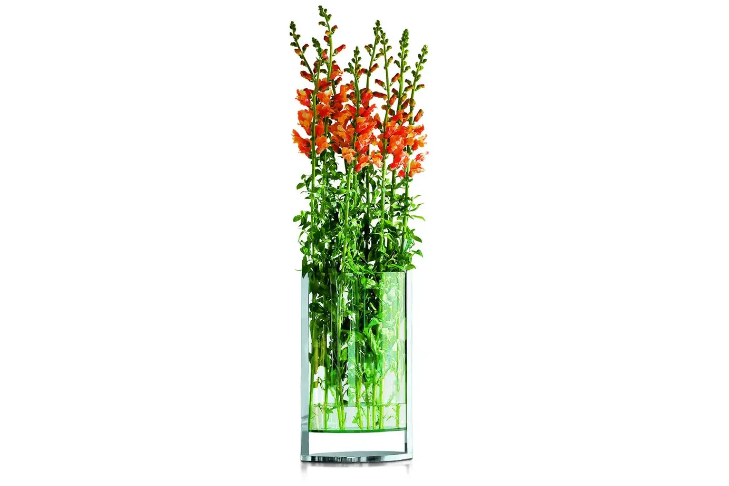 Discount Philippi - Decade vase L