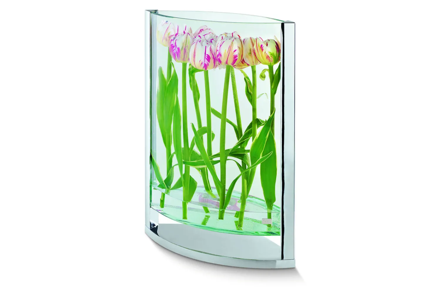 Hot Philippi - Decade vase S