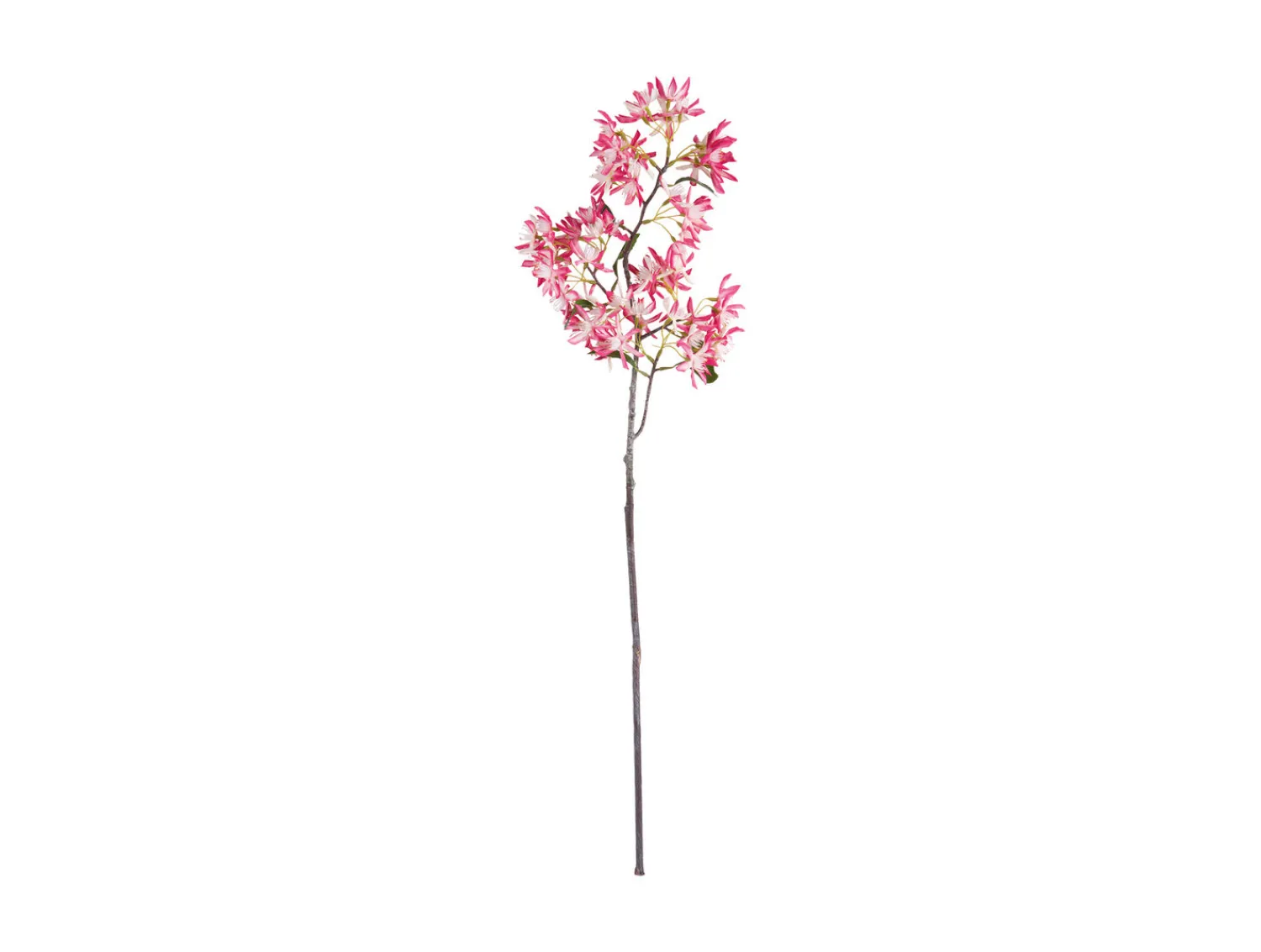 Online Present time - Artificial flower Milan Flowers bright pink