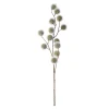 Online Present time - Artificial flower Poppy Berry soft green