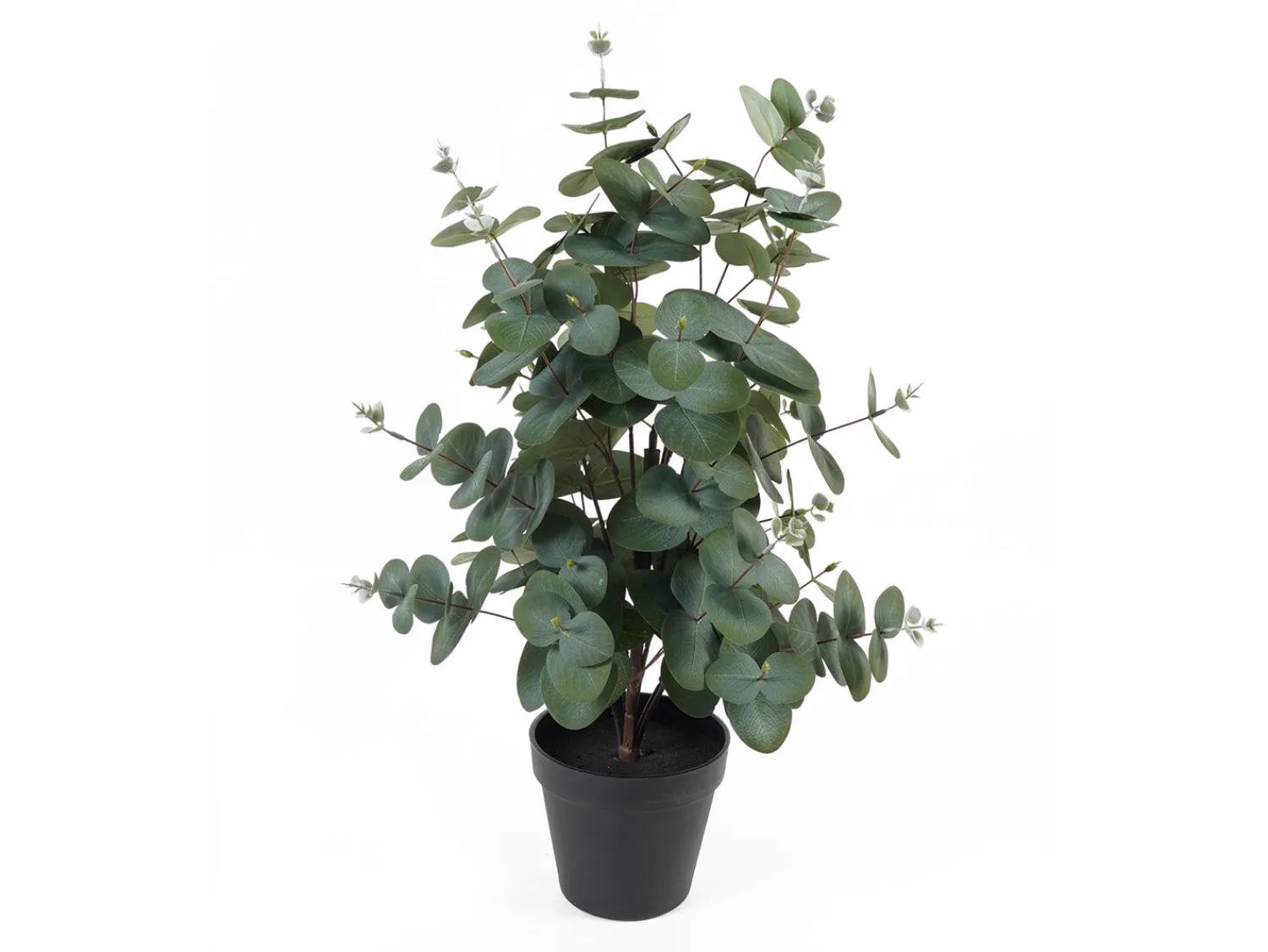 Present time - Artificial plant Eucalyptus Leaf
