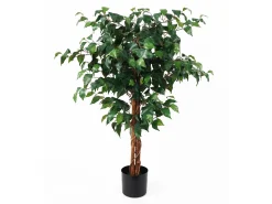 Clearance Present time - Artificial plant Fig Ficus