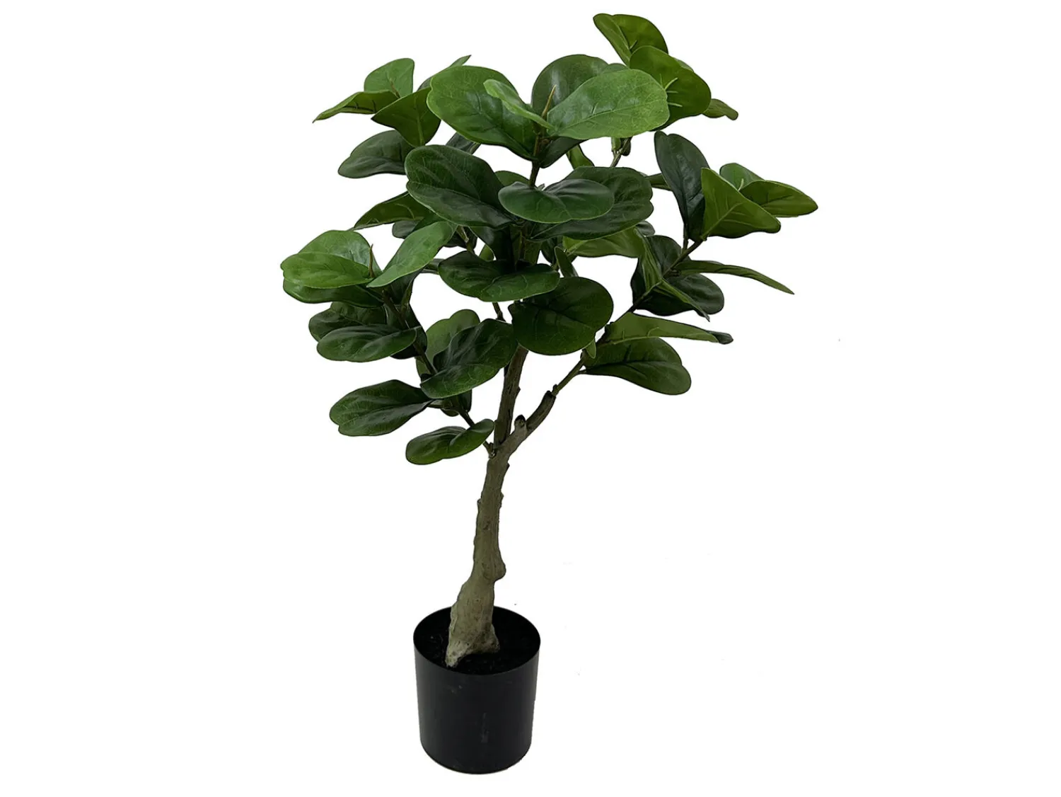 Online Present time - Artificial plant Ficus