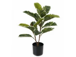 Outlet Present time - Artificial plant Oak Leaf