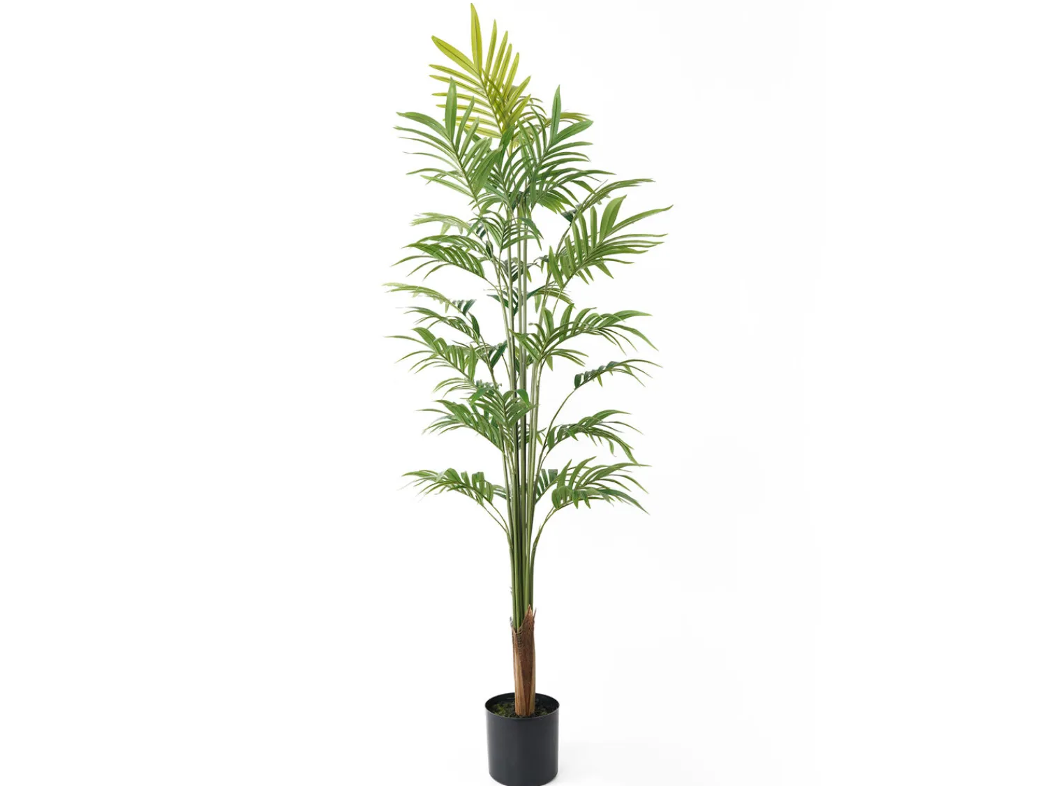 Sale Present time - Artificial plant Gold Palm Tree large