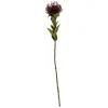 Sale Present time - Artificial plant Protea Flower small burgundy red