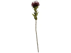 Sale Present time - Artificial plant Protea Flower small burgundy red