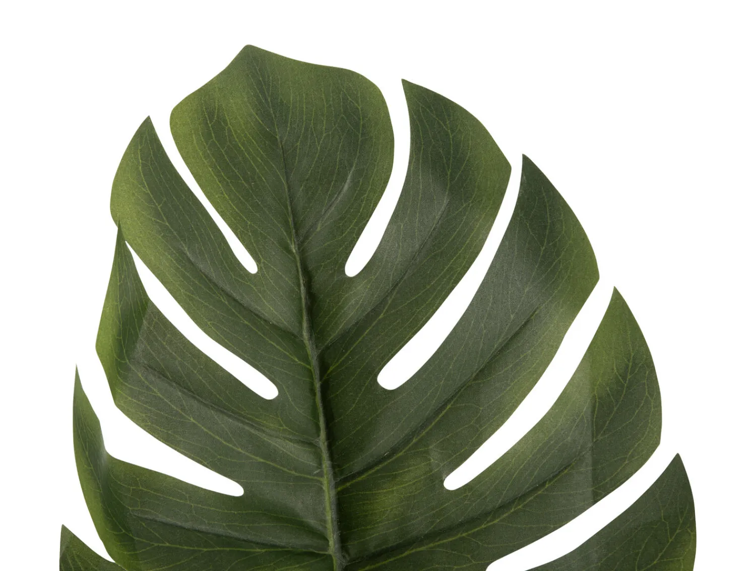 Clearance Present time - Artificial plant Monstera Stem green