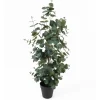New Present time - Artificial plant Eucalyptus Leaf large
