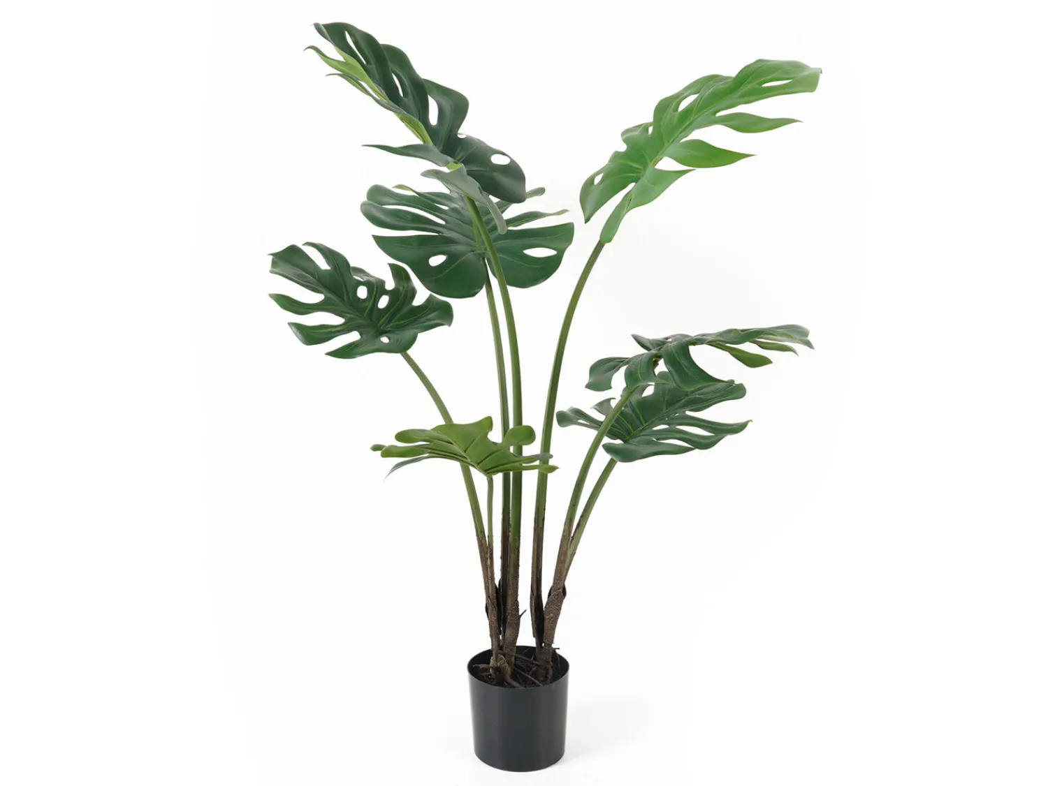 Sale Present time - Artificial plant Monstera