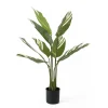 Sale Present time - Artificial plant Calathea green w. white