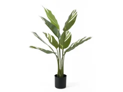 Sale Present time - Artificial plant Calathea green w. white