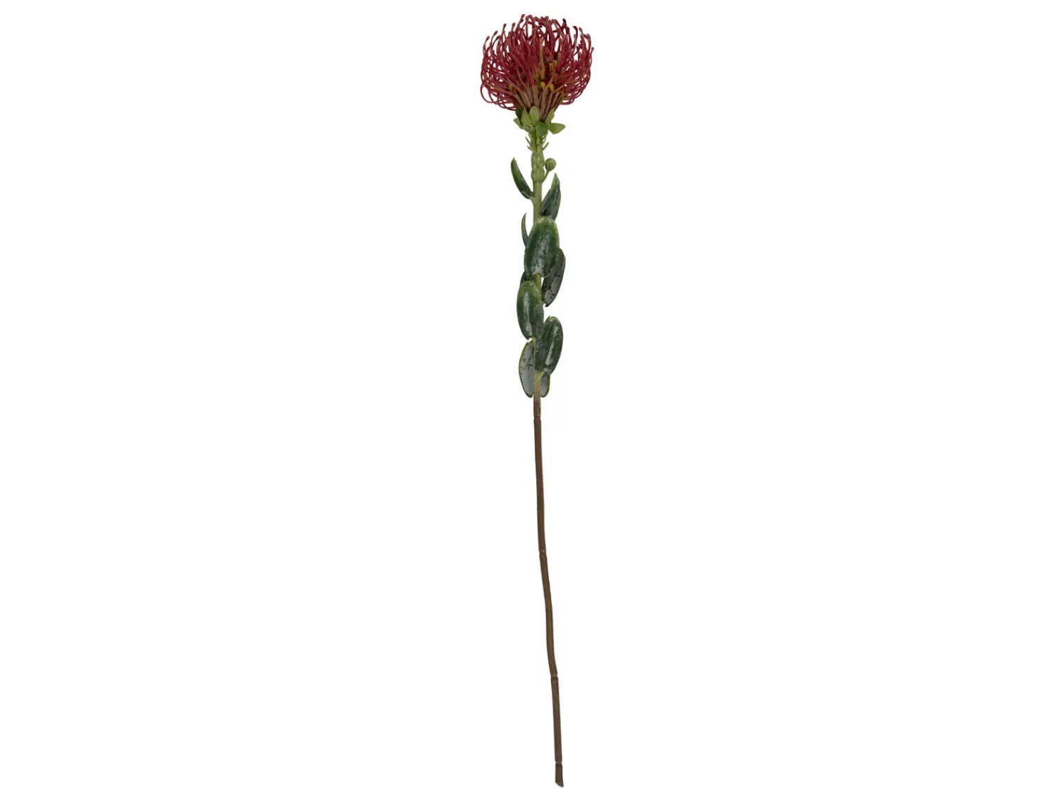 Best Present time - Artificial plant Protea Flower large burgundy red