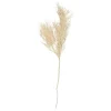Hot Present time - Artificial plant Asparagus Fern Stem white