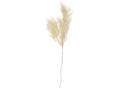 Hot Present time - Artificial plant Asparagus Fern Stem white