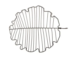 New Present time - Fruit basket Leaf large iron black