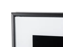 Hot Present time - Photo art Lion glass black & white