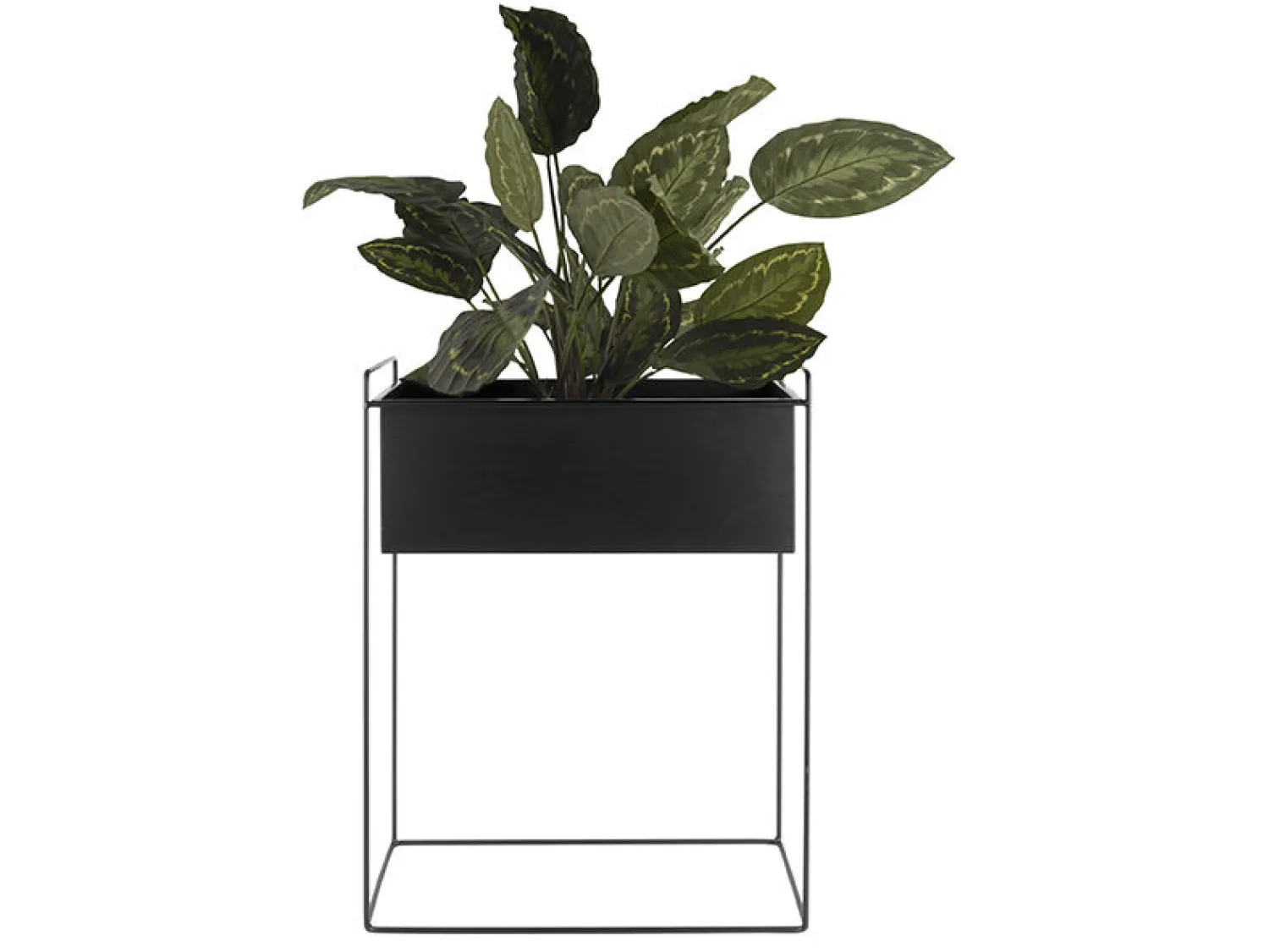 Discount Present time - Plant pot set Essence straight iron black