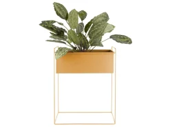Clearance Present time - Plant pot set Essence straight iron ochre yellow