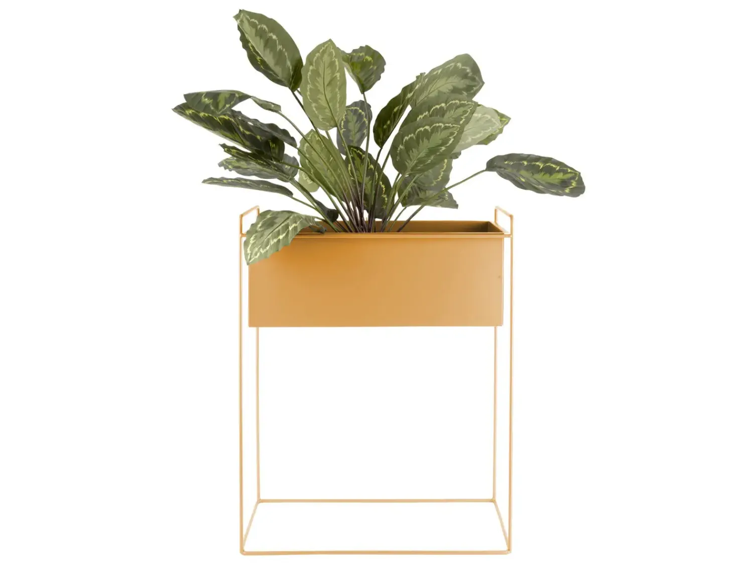 Clearance Present time - Plant pot set Essence straight iron ochre yellow