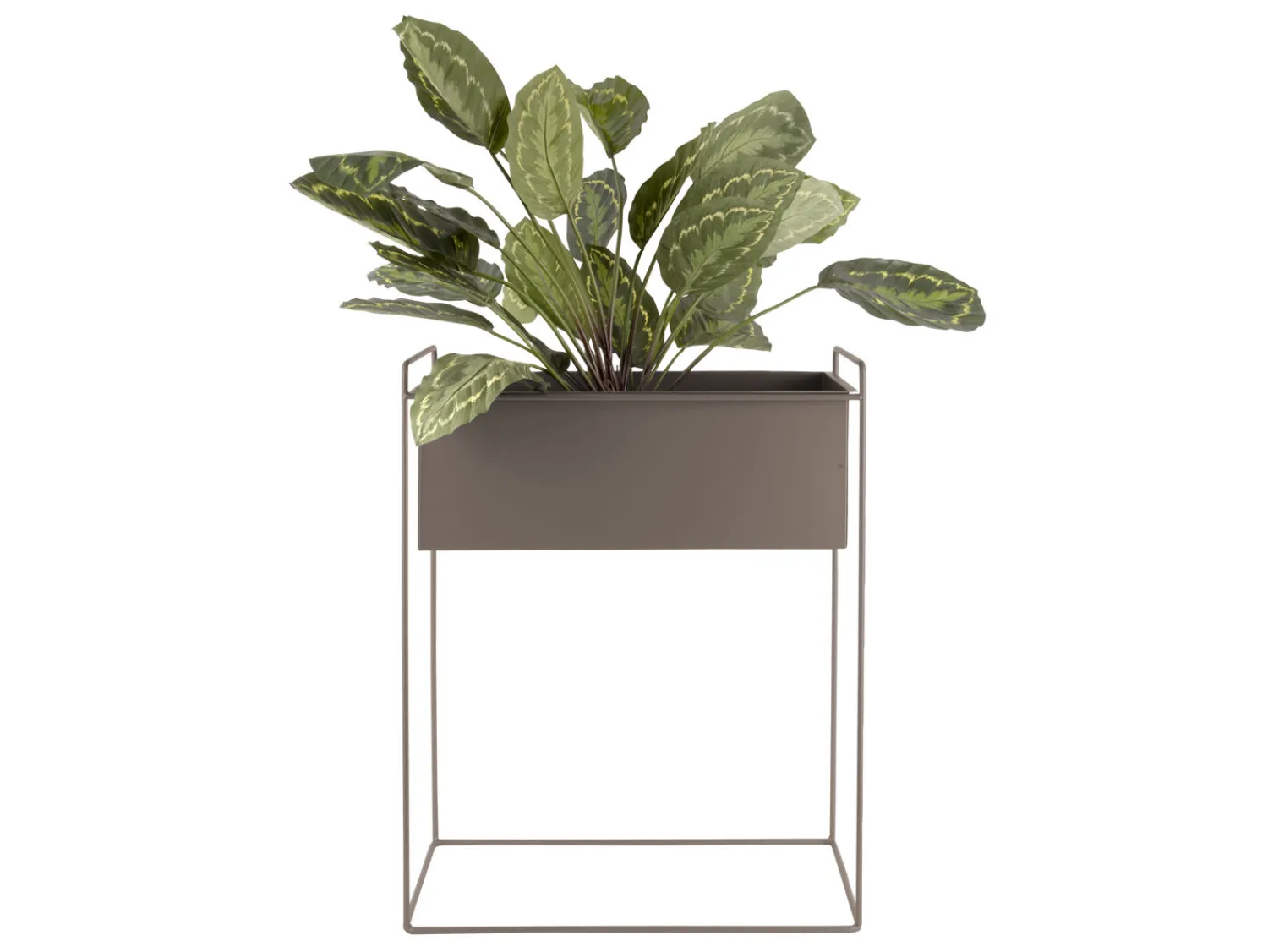 Sale Present time - Plant pot set Essence straight iron moss green