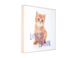 Online Present time - Wall art kitten Limited Edition purple