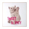 Clearance Present time - Wall art kitten Sweet & Spicy bright pink