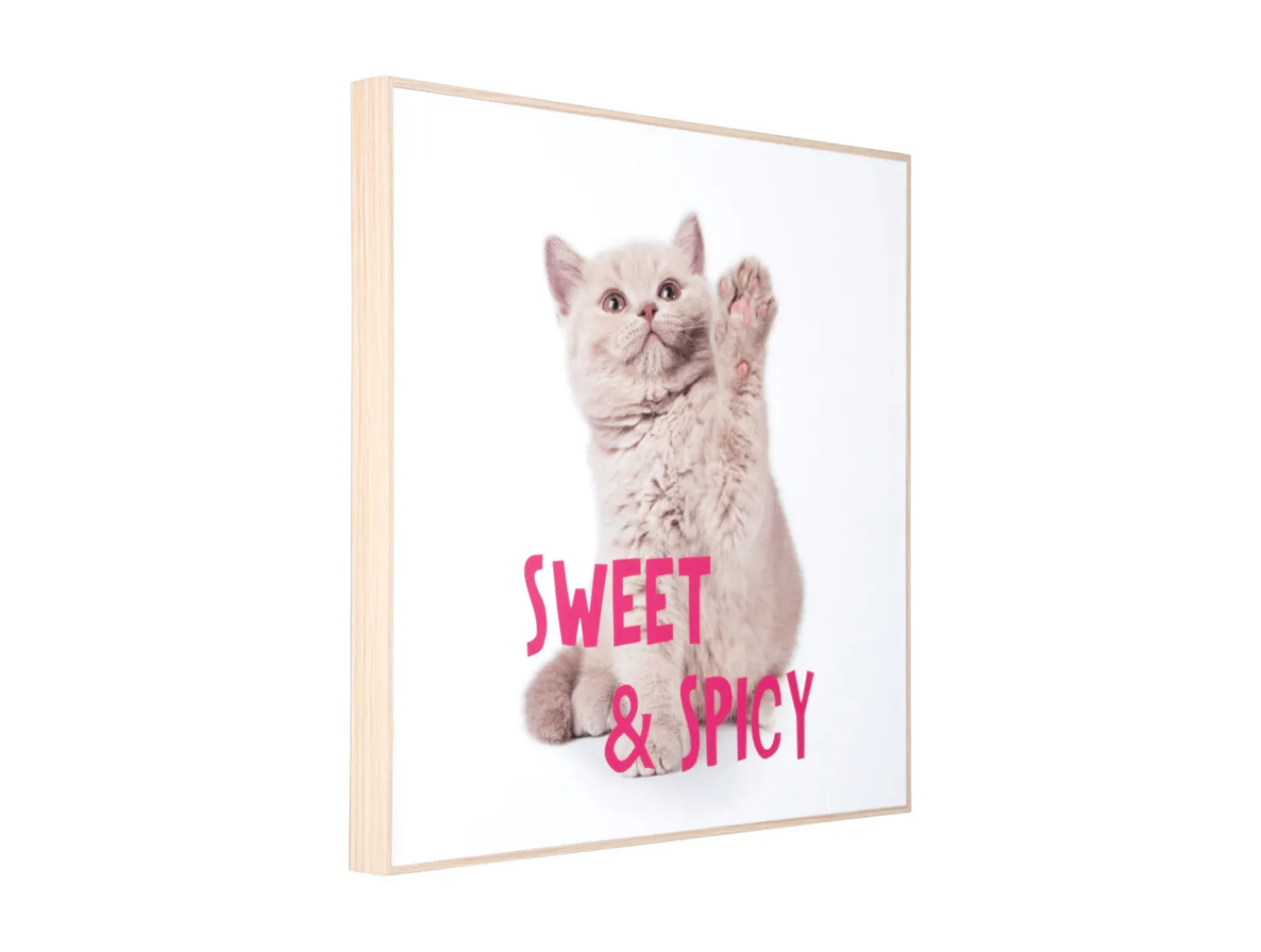 Clearance Present time - Wall art kitten Sweet & Spicy bright pink