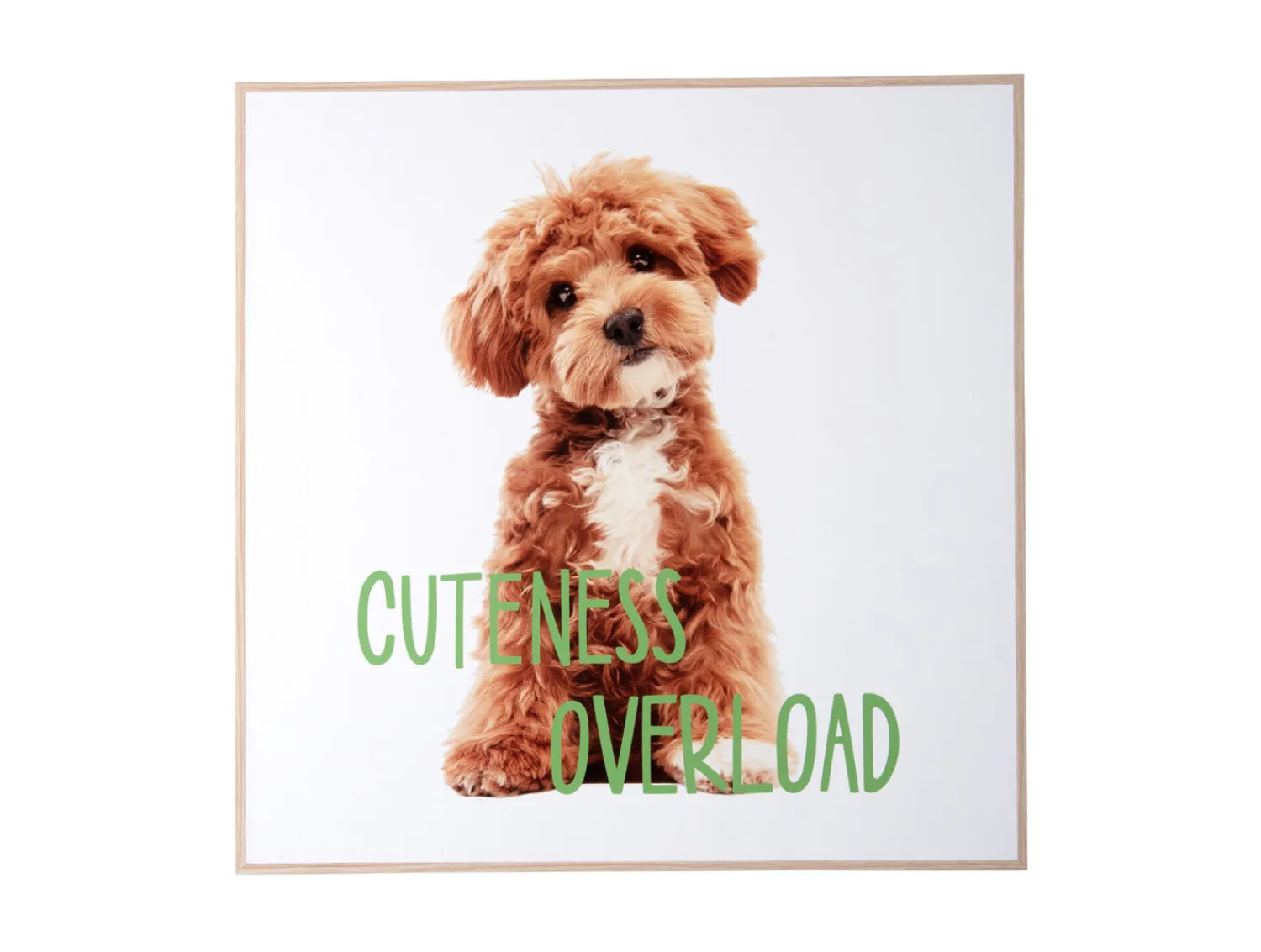 Best Present time - Wall art puppy Cuteness Overload green