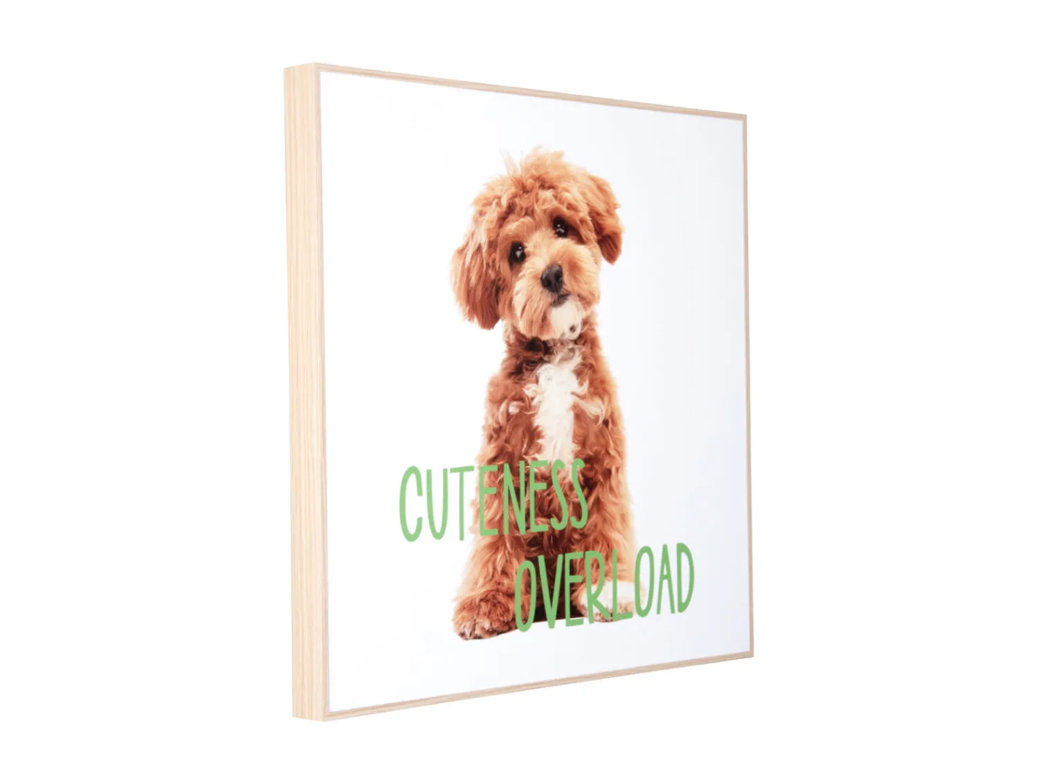 Best Present time - Wall art puppy Cuteness Overload green